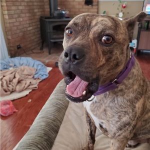 Meet your Posher, Cami